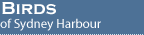 Birds and the harbour