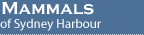 Mammals of Sydney Harbour