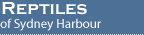 Reptiles of Sydney Harbour