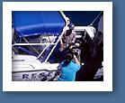 loading fish into a boat